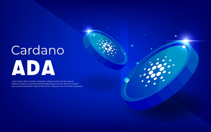 카르다노, 美 2위 위성TV 업체와 협약…