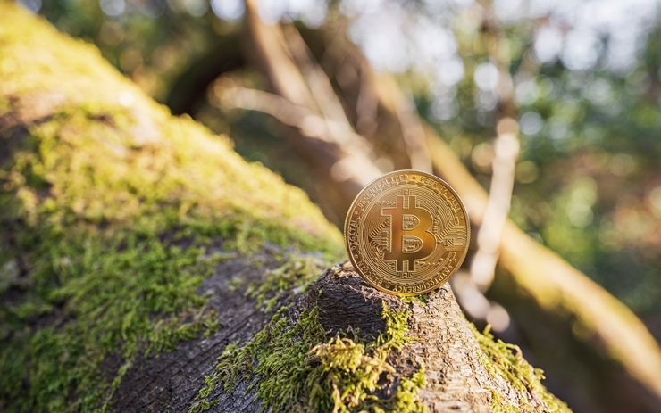  [토큰포스트 브리핑] 미 SEC, 테슬라·페이팔 등 BTC 보유 기업 구성 ETF 승인 外