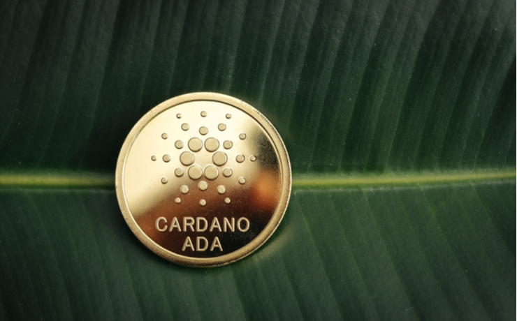  카르다노, 금 연동 스테이블코인 발행 예정