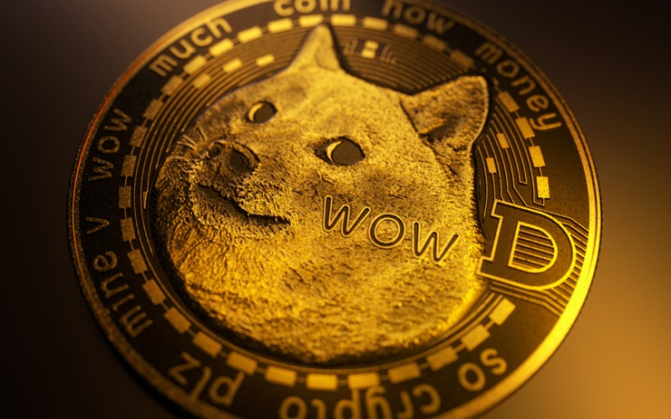  밈코인 급부상, MZ 세대가 주도하는 코인 시장…팬덤코인도 주시해야