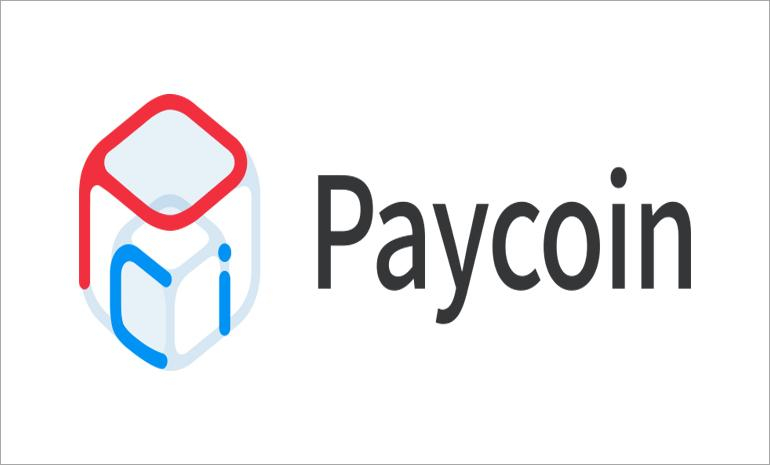  BMW 구매에도 페이코인… 황용택 대표 