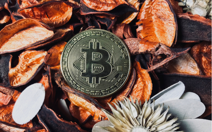  [시세브리핑] 비트코인 5만 6000달러…SEC, 현물 BTC ETF 재차 반려 外