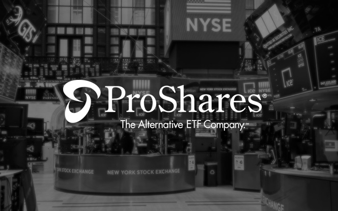  비트코인 ETF로 재미 본 프로셰어즈 ‘메타버스 ETF’까지 준비 중