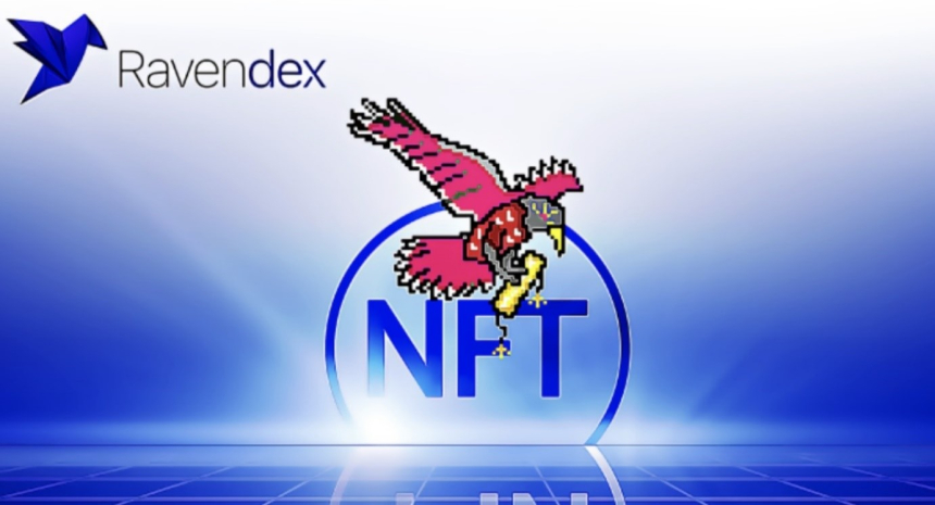  레이븐덱스, 카르다노 기반 단독 RAVE NFT 컬렉션 출시