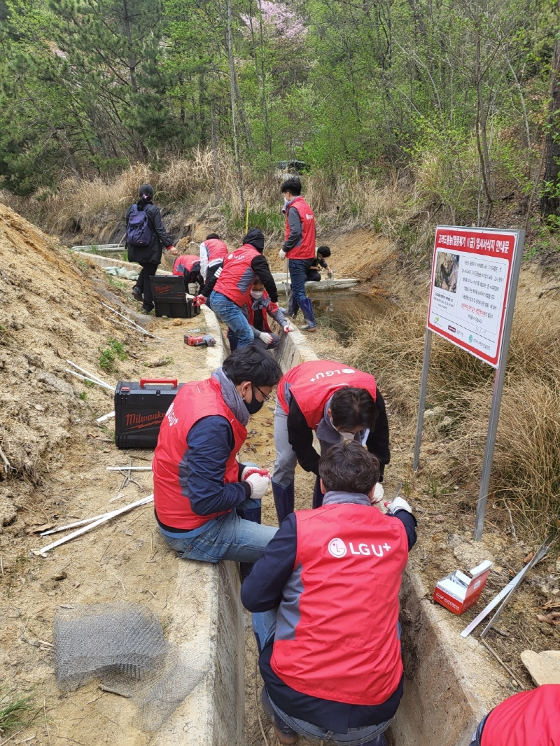  LG유플러스, 임직원 함께 '개구리 사다리' 설치