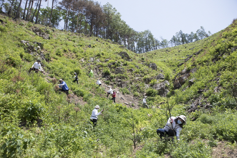  스마일게이트 희망스튜디오, 게임 유저와 함께 '다시 시작, 희망의 숲' 봉사 실시