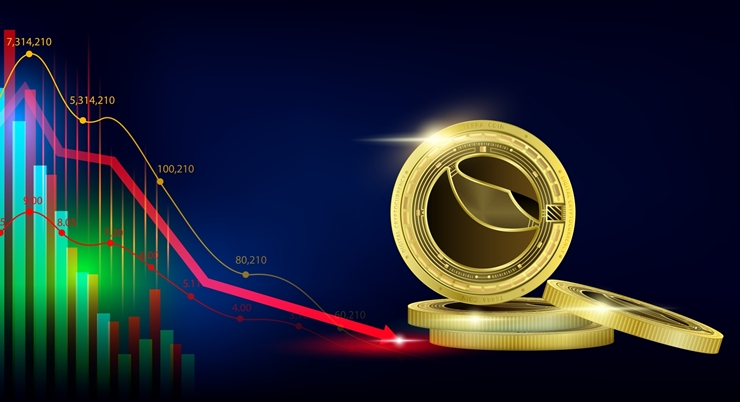  루나 폭락 사태에 투자 피해자 속출