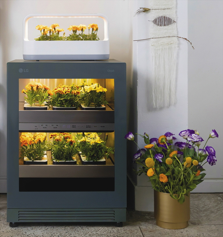  LG 틔운, 연암대와 다양한 씨앗 키트 개발...