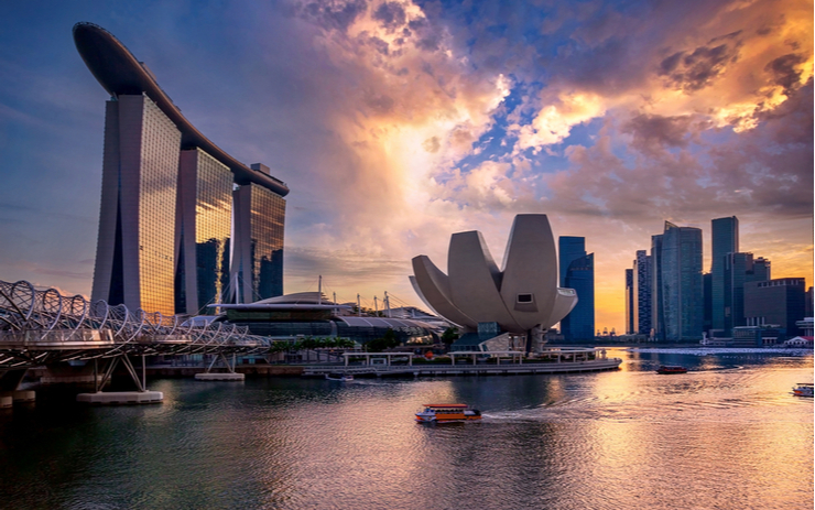 인출 중단 거래소 '집멕스', 문제 기업 '바벨·셀시우스'에 돈 빌려줬다