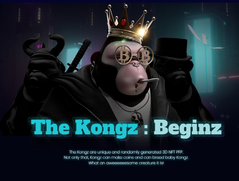  메타콩즈 코인, 이더리움 기반으로 전환 예정