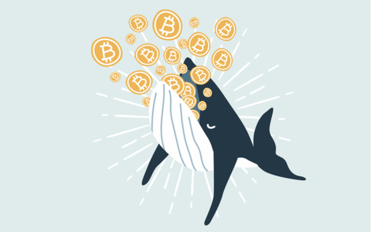  비트코인 백만장자 급감...9개월 만에 75% 감소