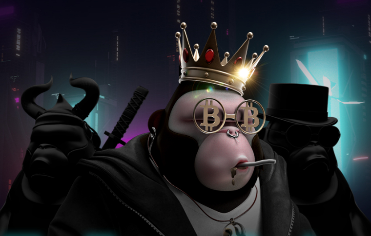  메타콩즈 홀더들, 비대위 결성...