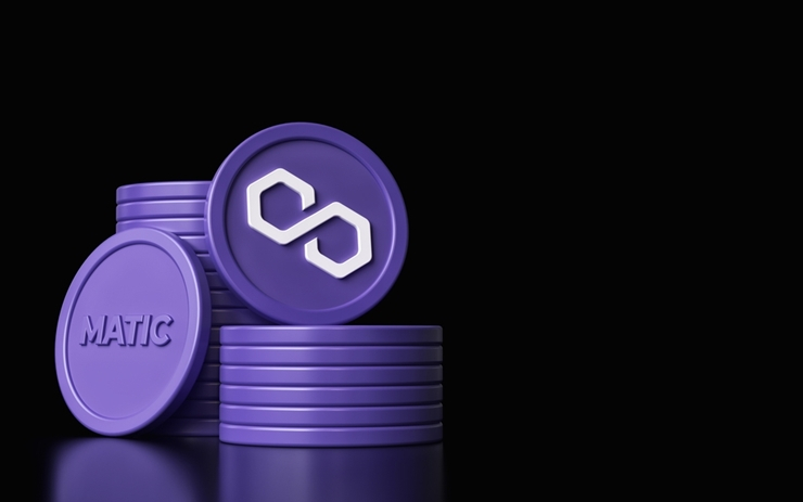  '암호화폐 겨울'에도 상승세 이어간 폴리곤...한달 새 100% 상승한 이유는? 