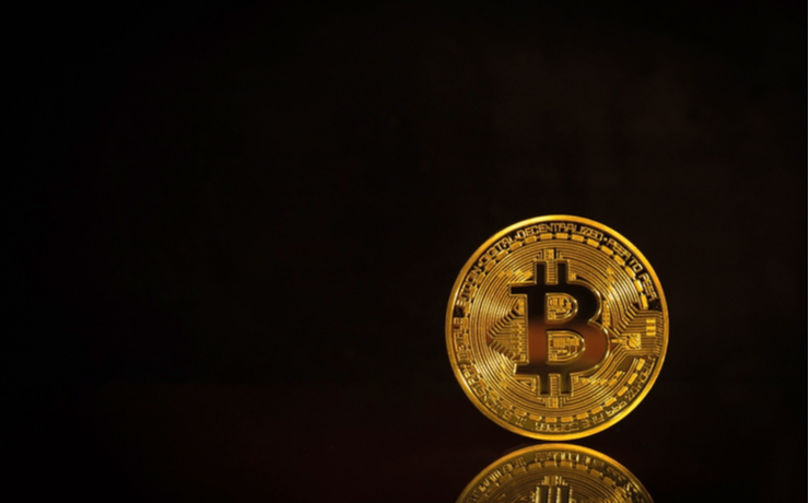  사진 = shutterstock 