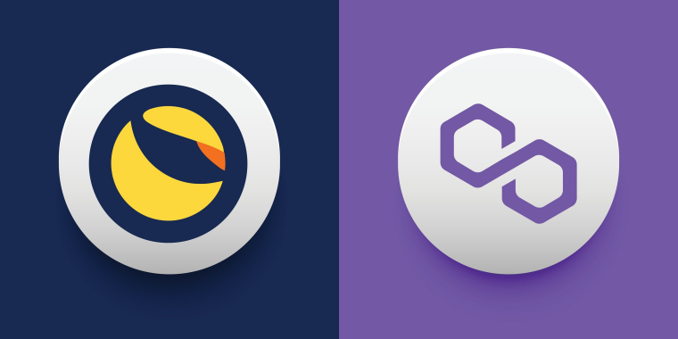  둥지 잃은 테라 프로젝트, '폴리곤' 이사 시작