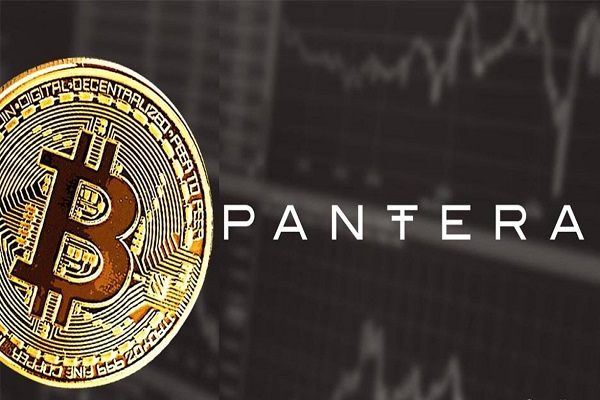  [토큰포스트 마감 브리핑] 판테라캐피털 CEO 