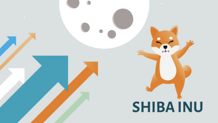  시바이누, 8월 코인마켓캡 조회수 BTC·ETH 이어 3위