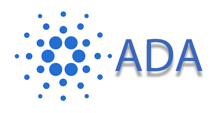 카르다노 창업자 