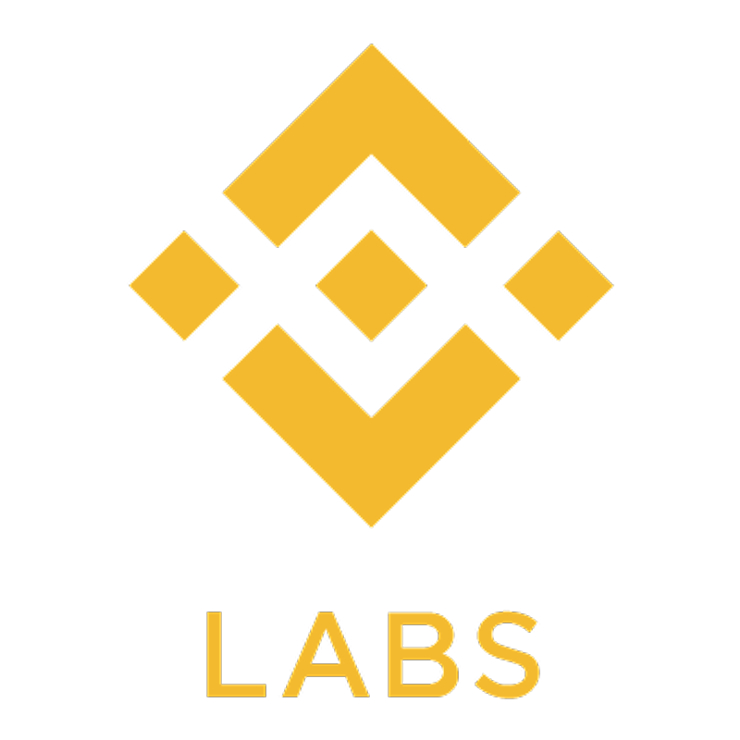  바이낸스랩스 CEO 