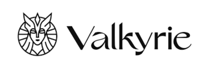  美 암호화폐 ETF 운용사 발키리, 운용 자산 7360만 달러 추가