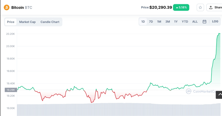  [오후 시세브리핑] 비트코인, 5% 깜짝 급반등...2만 달러 회복