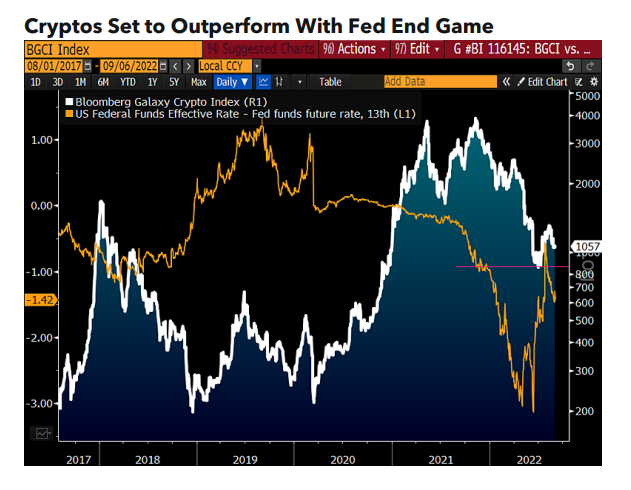  블룸버그 애널리스트 