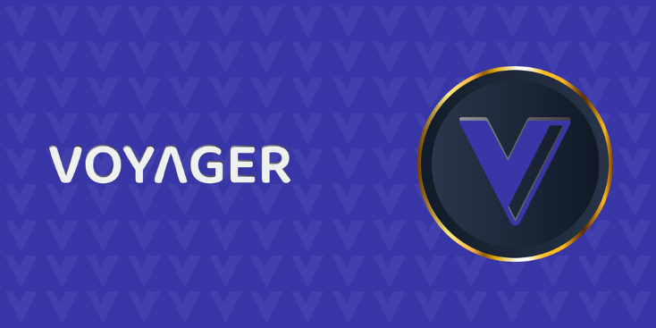  '자발적 파산' 보이저디지털 채권단, 경영진 면책 계획 반대