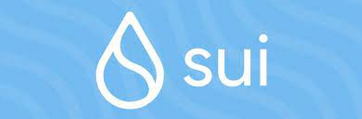 레이어1 블록체인 수이 