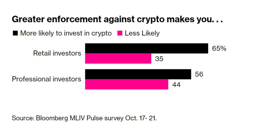  블룸버그 투자자 설문 