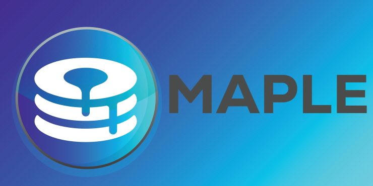  메이플 파이낸스, 대출 조건 강화...리스크 관리 차원