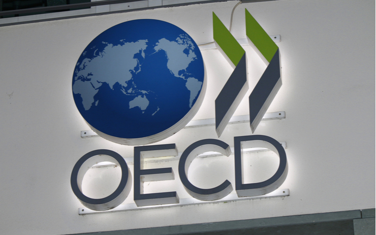  OECD, 신규 '암호화 자산' 조세 신고 체계 발표