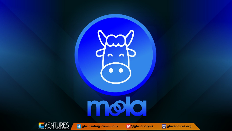  DeFi 대출업체 물라마켓, 840만달러 상당 코인 해킹 당해