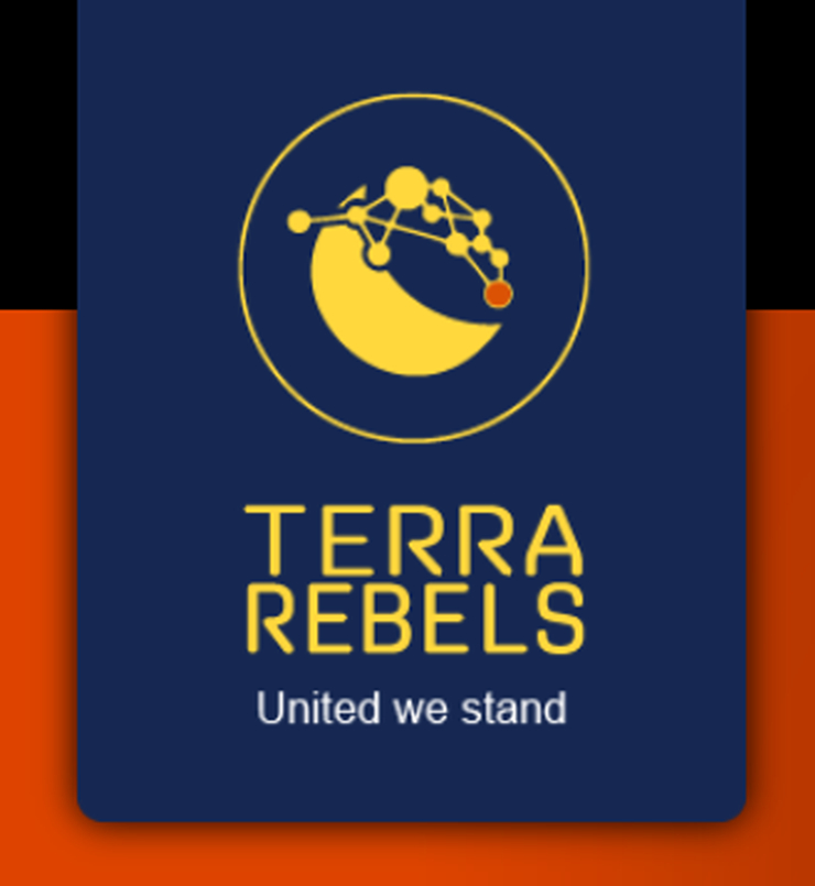  테라 레벌스 수석 개발자, 생태계 보조금 프로그램 제안