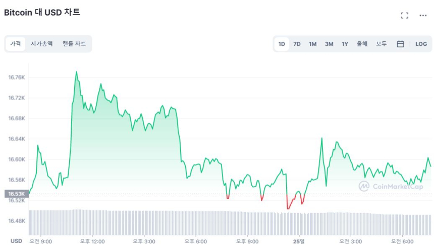  [시세브리핑] 한풀 꺾인 상승세...비트코인 1만6580달러