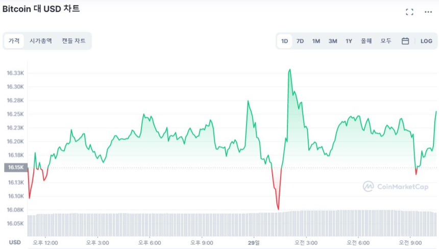 [오후 시세브리핑] 일부 강세 포지션에 시장 소폭 상승...비트코인 1만6200달러 후반대