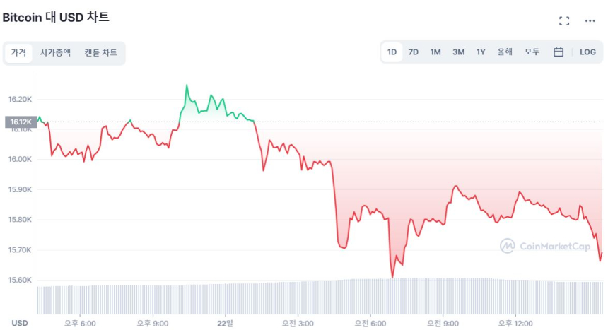  [마감 시세브리핑] 얼어붙은 투심...이더리움 1100달러 밑돌아