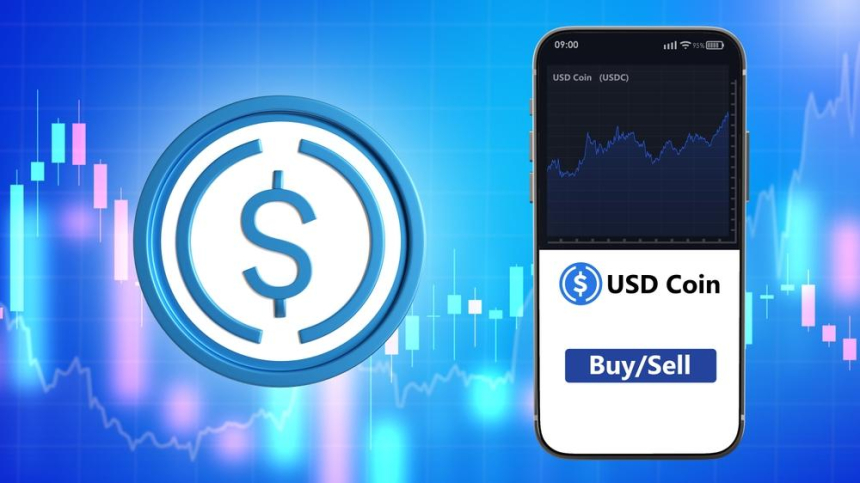  서클 정책 디렉터 