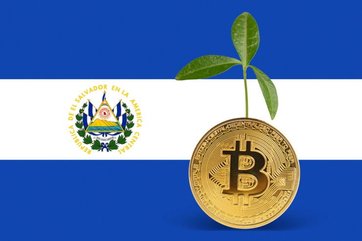  사진 = shutterstock 