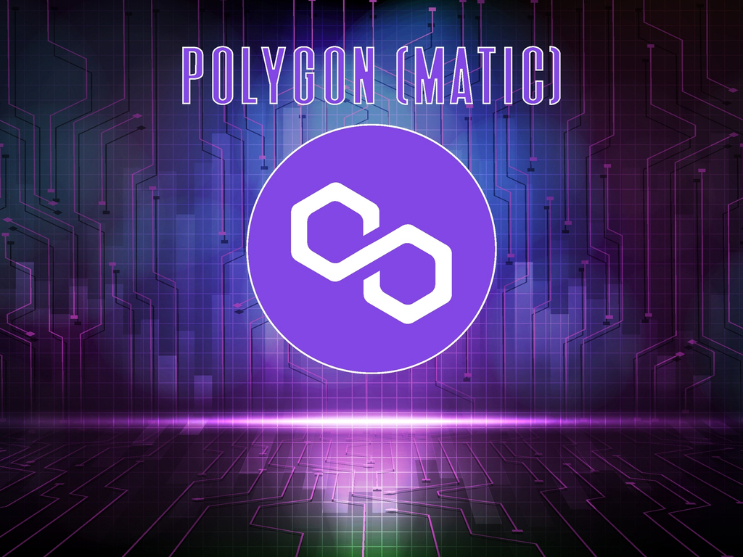  사진 = 폴리곤(MATIC) / 셔터스톡 