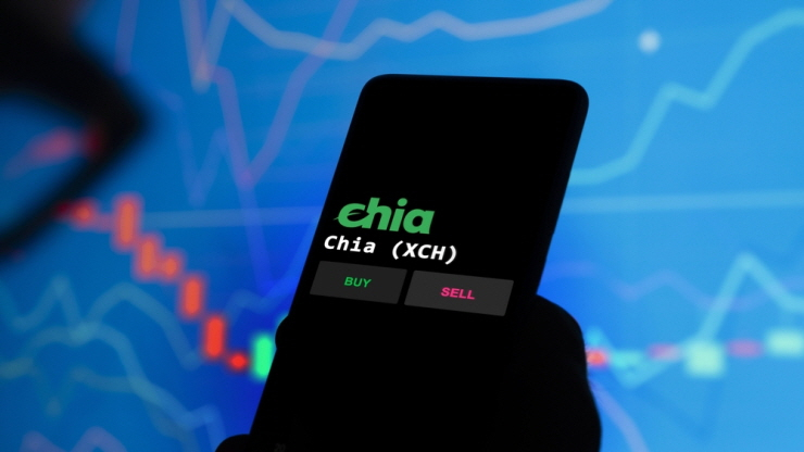  치아네트워크 COO 