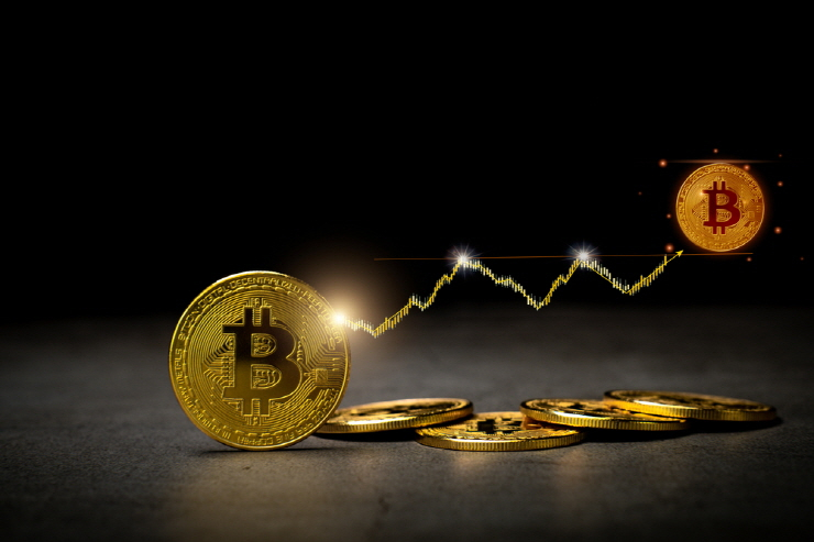  美 암호화폐 애널 