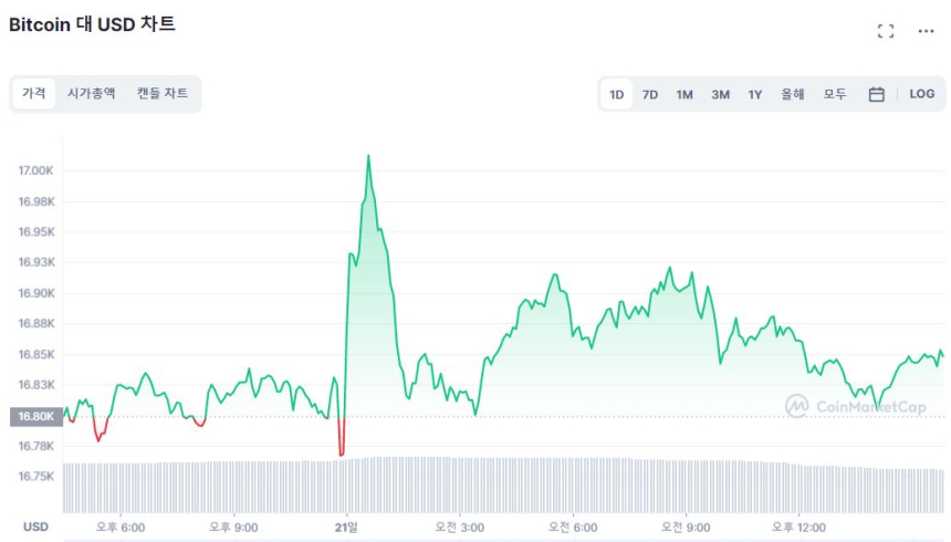  [마감 시세브리핑] 비트코인 1만6850달러서 '횡보'...알트코인은 하락 전환