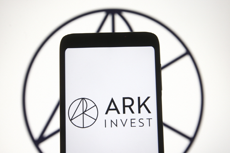  사진 = shutterstock 