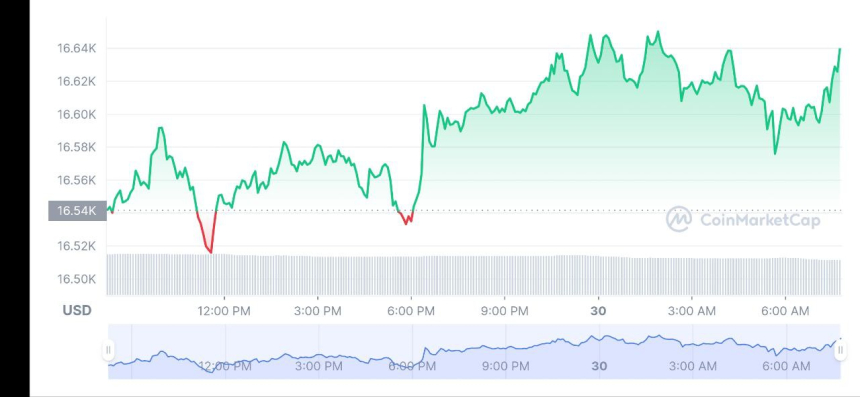  [시세브리핑] 시장 강보합세…비트코인 1만6630달러선
