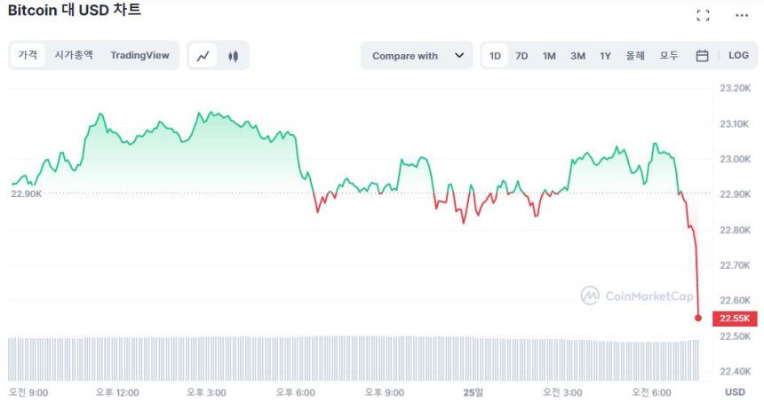  [시세브리핑] 비트코인, 간밤 2만3000 달러 찍고 숨 고르기