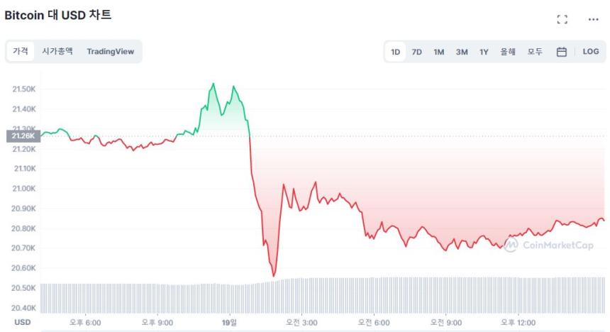  [마감 시세브리핑] 비트코인 2만 달러선 유지...온체인 지표는 '강세 전환' 가리켜