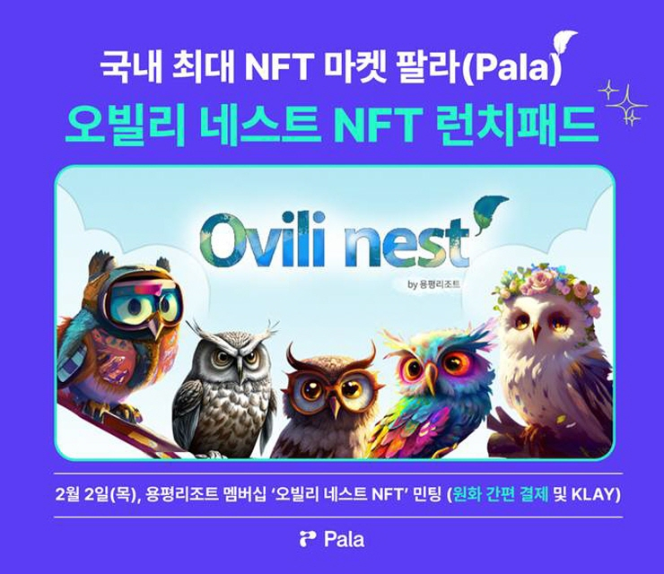  팔라, 국내 첫 용평리조트 멤버십 NFT '오빌리 네스트' 런치패드 출시