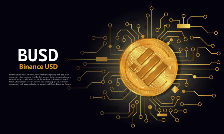  바이낸스, B-토큰 보관 월렛에 '고객 자금' 혼재 보관