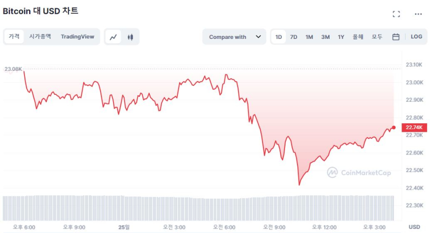  [마감 시세브리핑] 엇갈린 전망에 불안정한 시장...비트코인 2만2730달러선