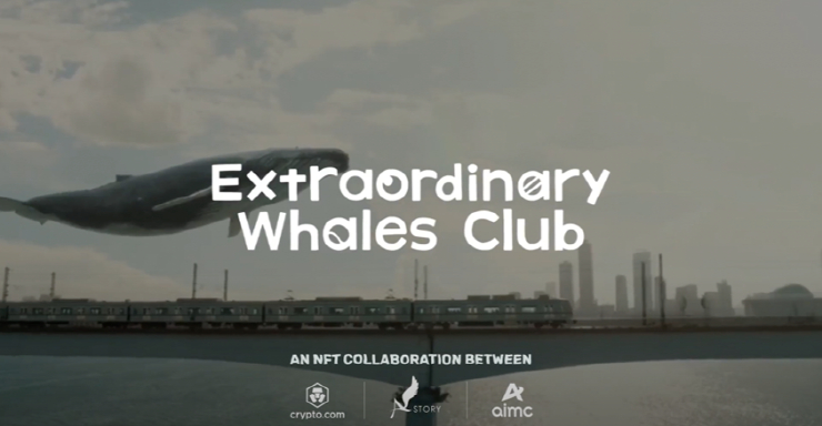  크립토닷컴, 에이스토리·AIMC와 '이상한 고래 클럽' NFT 출시